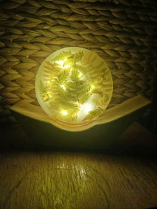 Květinová Lampa z pryskyřice Loďka Kapradí